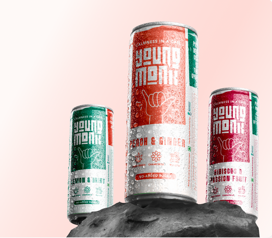 Young Monk - Combo of Lemon & Mint, Peach & Ginger and Hibiscus & Passion Fruit (Pack Of 6)