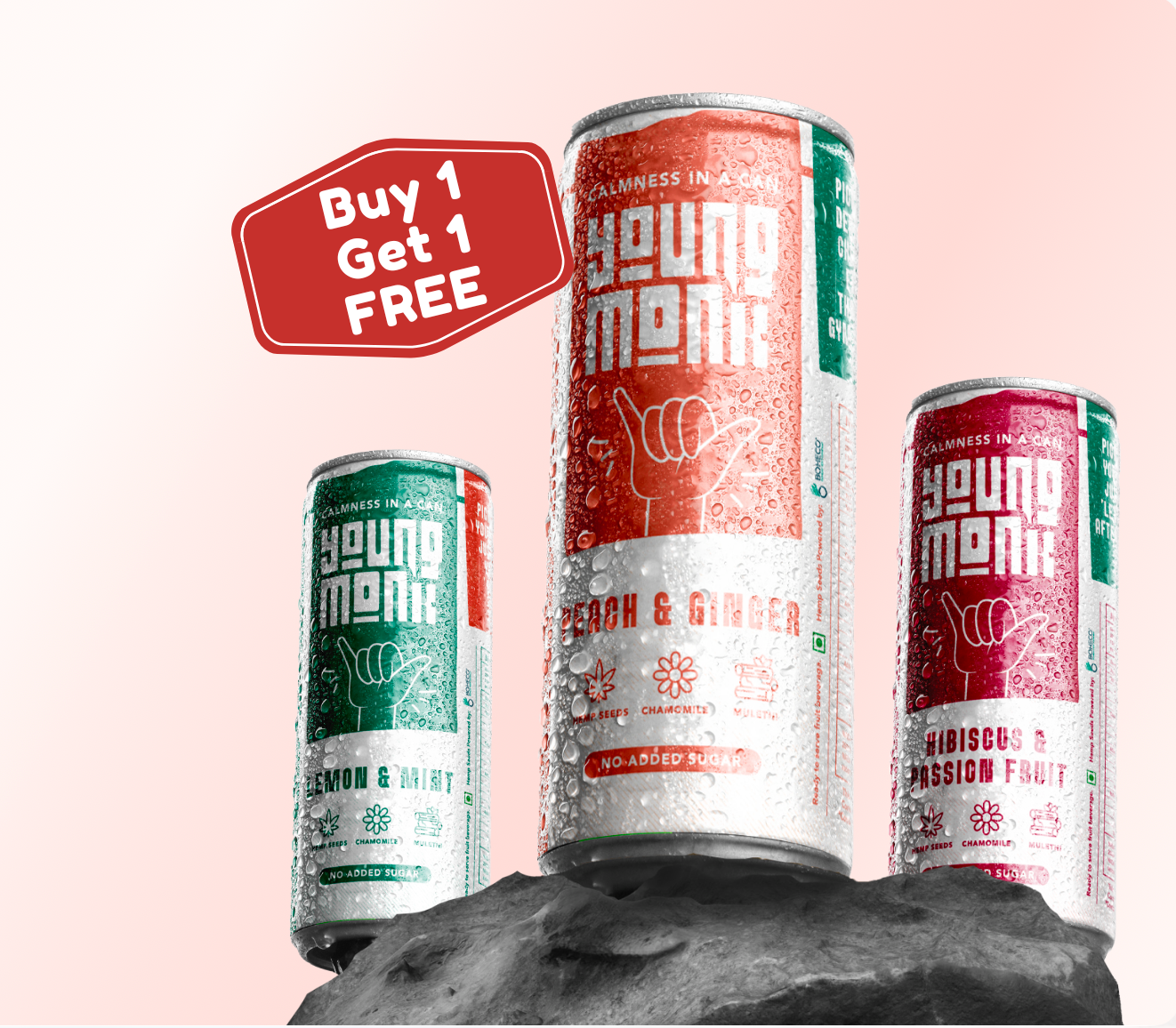 Young Monk - LIMITED PERIOD BUY 1, GET 1 OFFER - Combo of Lemon & Mint, Peach & Ginger and Hibiscus & Passion Fruit (Pack Of 6)