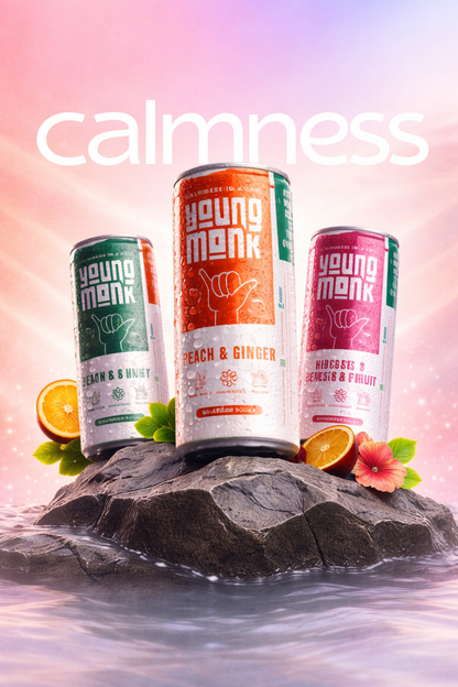 Young Monk - Combo of Lemon & Mint, Peach & Ginger and Hibiscus & Passion Fruit (Pack Of 6)